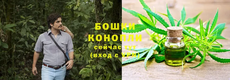 Шишки марихуана THC 21%  где купить   Иркутск 